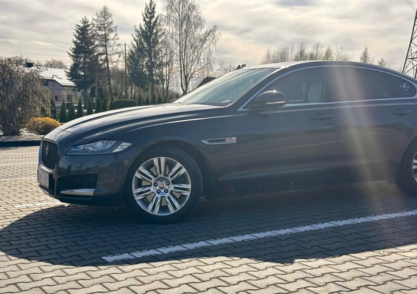 Jaguar XF cena 80000 przebieg: 115509, rok produkcji 2016 z Kraków małe 704